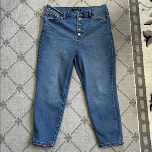 Truth + Theory High Rise Skinny Button Fly Blue Ankle Jeans